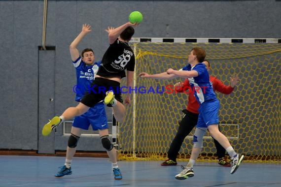 Handball TSV Phoenix Steinsfurt vs SV Sinsheim 22.04.2017 (© Siegfried Lörz)