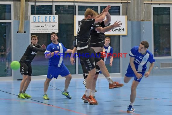 Handball TSV Phoenix Steinsfurt vs SV Sinsheim 22.04.2017 (© Siegfried Lörz)