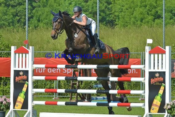 Fohlenmarkt Sinsheim Sonntag S** Sparkasse Kraichgau 28.05.2017 (© Fotostand / Loerz)