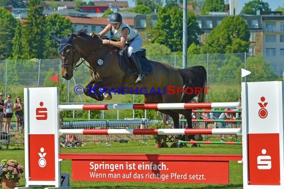 Fohlenmarkt Sinsheim Sonntag S** Sparkasse Kraichgau 28.05.2017 (© Fotostand / Loerz)