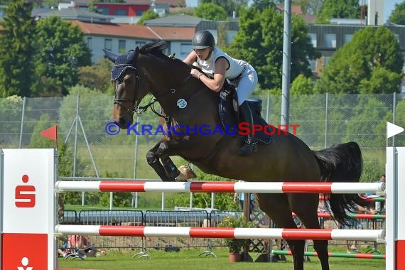 Fohlenmarkt Sinsheim Sonntag S** Sparkasse Kraichgau 28.05.2017 (© Fotostand / Loerz)