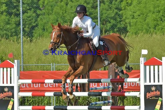 Fohlenmarkt Sinsheim Sonntag S** Sparkasse Kraichgau 28.05.2017 (© Fotostand / Loerz)