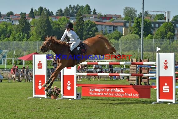 Fohlenmarkt Sinsheim Sonntag S** Sparkasse Kraichgau 28.05.2017 (© Fotostand / Loerz)