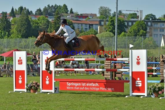 Fohlenmarkt Sinsheim Sonntag S** Sparkasse Kraichgau 28.05.2017 (© Fotostand / Loerz)