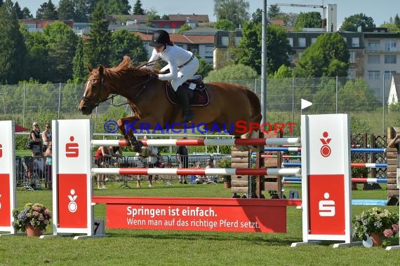 Fohlenmarkt Sinsheim Sonntag S** Sparkasse Kraichgau 28.05.2017 (© Fotostand / Loerz)