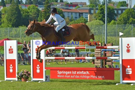 Fohlenmarkt Sinsheim Sonntag S** Sparkasse Kraichgau 28.05.2017 (© Fotostand / Loerz)