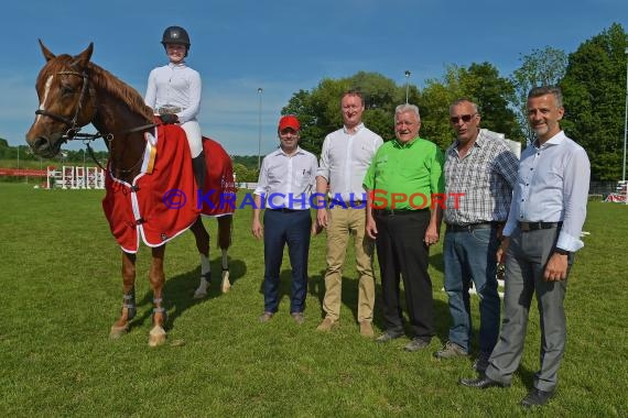 Fohlenmarkt Sinsheim Sonntag S** Sparkasse Kraichgau 28.05.2017 (© Fotostand / Loerz)