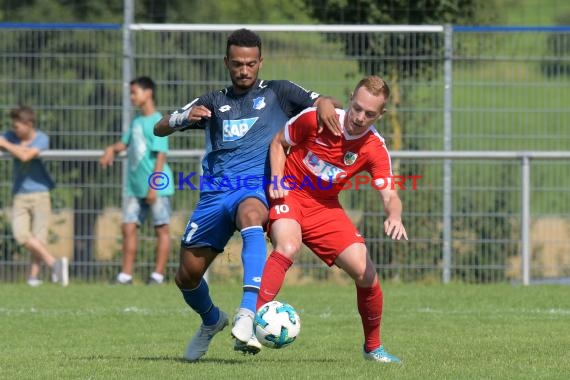 Testspiel TSG 1899 Hoffenheim U23 vs Wormatia Worms in Rohrbach/S 13.07.2017 (© )