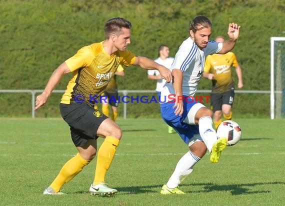 Landesliga Rhein Neckar TSV Michelfeld vs VfB St. Leon 03.09.2017 (© Siegfried)