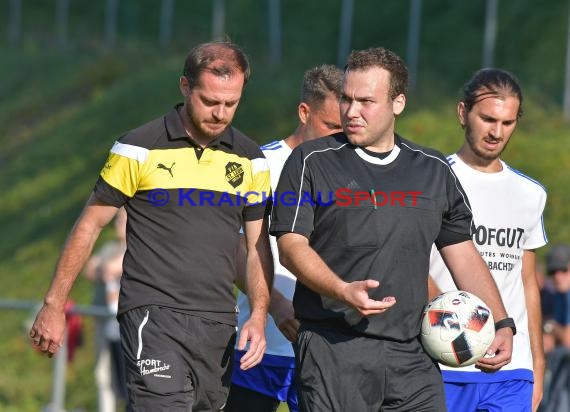 Landesliga Rhein Neckar TSV Michelfeld vs VfB St. Leon 03.09.2017 (© Siegfried)