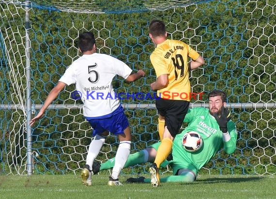 Landesliga Rhein Neckar TSV Michelfeld vs VfB St. Leon 03.09.2017 (© Siegfried)