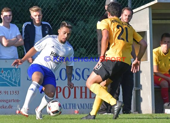 Landesliga Rhein Neckar TSV Michelfeld vs VfB St. Leon 03.09.2017 (© Siegfried)