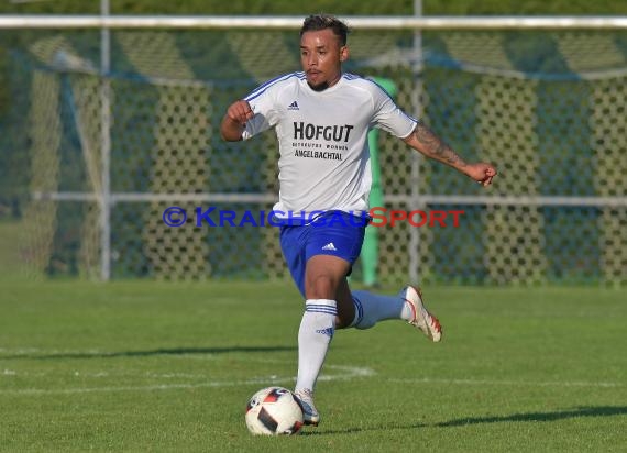 Landesliga Rhein Neckar TSV Michelfeld vs VfB St. Leon 03.09.2017 (© Siegfried)