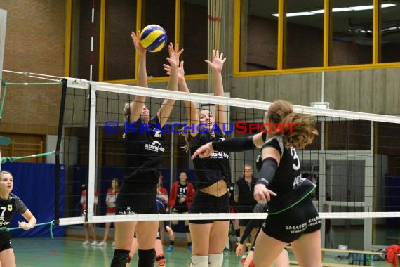 Volleyball Damen 3. Liga Süd SV Sinsheim gegen TV Lebach 04.11.2017 (© Siegfried)