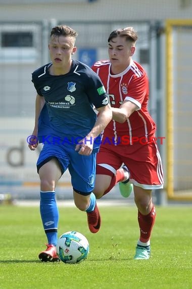 U19 Bundesliga Sued/Suedwest TSG 1899 Hoffenheim vs Fc Bayern München ,  (© Siegfried Lörz)