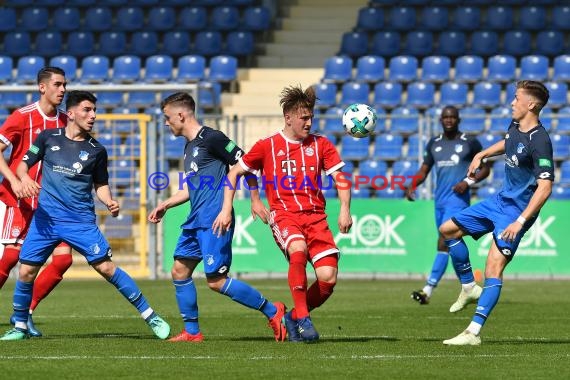 U19 Bundesliga Sued/Suedwest TSG 1899 Hoffenheim vs Fc Bayern München ,  (© Siegfried Lörz)