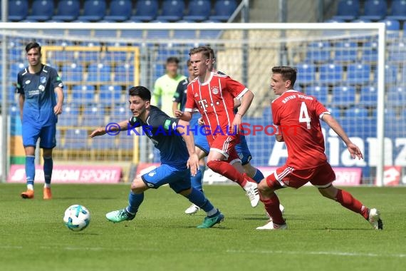 U19 Bundesliga Sued/Suedwest TSG 1899 Hoffenheim vs Fc Bayern München ,  (© Siegfried Lörz)