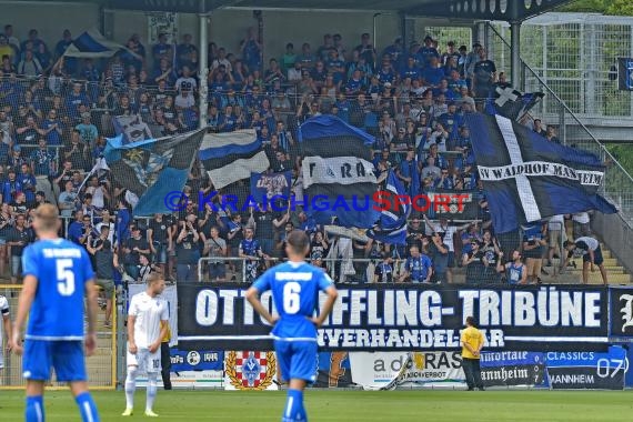 Regionalliga Südwest TSG 1899 Hoffeenheim II vs SV Waldhof Mannheim (© Siegfried Lörz)