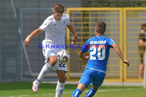 Regionalliga Südwest TSG 1899 Hoffeenheim II vs SV Waldhof Mannheim (© Siegfried Lörz)