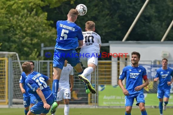 Regionalliga Südwest TSG 1899 Hoffeenheim II vs SV Waldhof Mannheim (© Siegfried Lörz)