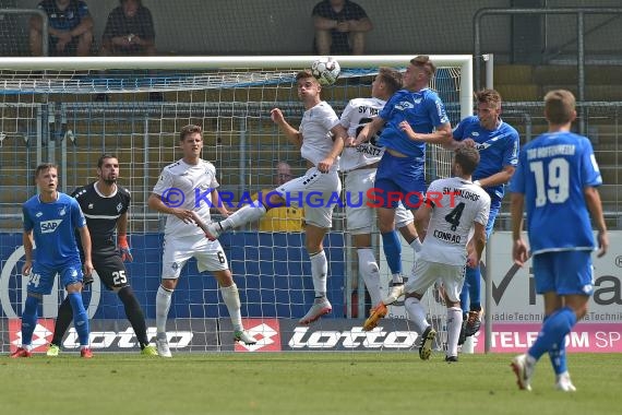 Regionalliga Südwest TSG 1899 Hoffeenheim II vs SV Waldhof Mannheim (© Siegfried Lörz)