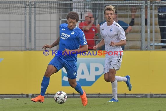 Regionalliga Südwest TSG 1899 Hoffeenheim II vs SV Waldhof Mannheim (© Siegfried Lörz)