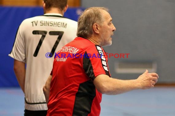 Handball Kreisliga Heidelberg - TSV Phönix Steinsfurt vs TV Sinsheim (© Berthold Gebhard)