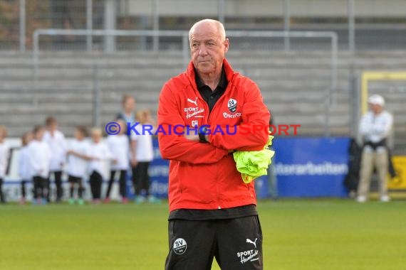 2. BL - 18/19 - SV Sandhausen vs. FC Ingolstadt 04 (© Kraichgausport / Loerz)