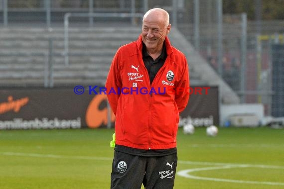 2. BL - 18/19 - SV Sandhausen vs. FC Ingolstadt 04 (© Kraichgausport / Loerz)