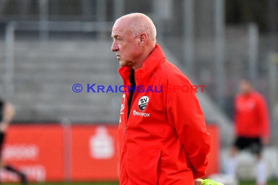 2. BL - 18/19 - SV Sandhausen vs. FC Ingolstadt 04 (© Kraichgausport / Loerz)