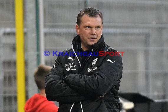 2. BL - 18/19 - SV Sandhausen vs. FC Ingolstadt 04 (© Kraichgausport / Loerz)