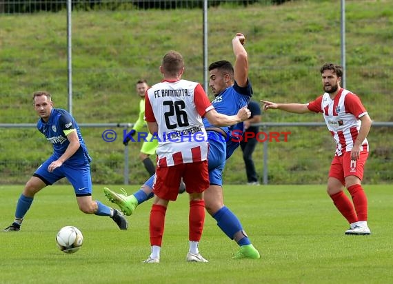 Saison 20/21 LL-Rhein-Neckar FC Bammental vs TSV Steinsfurt (© Siegfried Lörz)