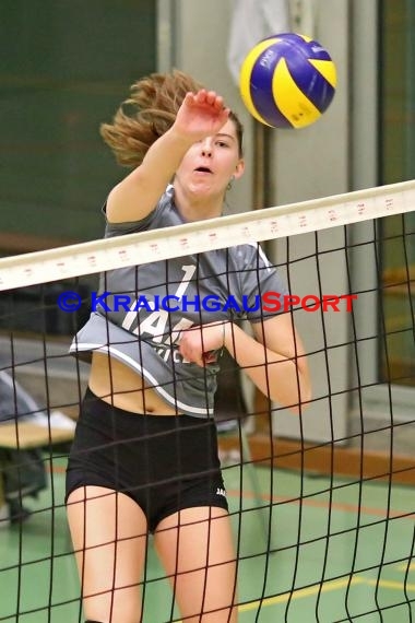 Volleyball Damen Oberliga SV Sinsheim 2 vs VSG Ettlingen/Rüppurr (© Berthold Gebhard)