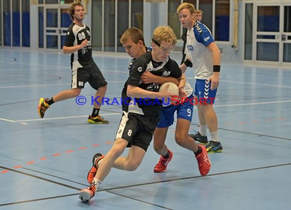 Handball Baden ,  Bezirksliga 2 Gruppe 2 - TV Sinsheim vs TSV Phoenix Steinsfurt  (© Siegfried Lörz)