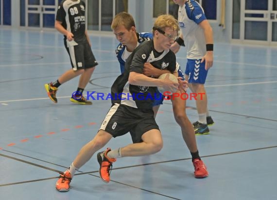 Handball Baden ,  Bezirksliga 2 Gruppe 2 - TV Sinsheim vs TSV Phoenix Steinsfurt  (© Siegfried Lörz)