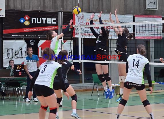 Volleyball Damen 3. Liga Süd SV Sinsheim  vs SV KA-Beiertheim (© Siegfried Lörz)