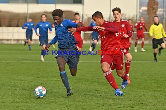 Bundeliga U17 TSG 1899 Hoffenheim vs Bayern München (© Siegfried Lörz)