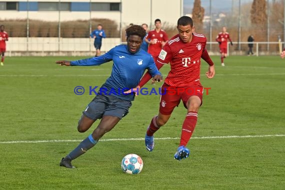 Bundeliga U17 TSG 1899 Hoffenheim vs Bayern München (© Siegfried Lörz)