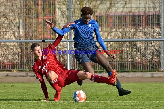 Bundeliga U17 TSG 1899 Hoffenheim vs Bayern München (© Siegfried Lörz)