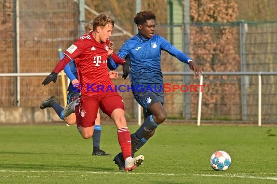 Bundeliga U17 TSG 1899 Hoffenheim vs Bayern München (© Siegfried Lörz)