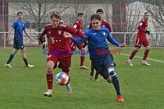 Bundeliga U17 TSG 1899 Hoffenheim vs Bayern München (© Siegfried Lörz)