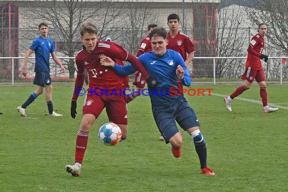 Bundeliga U17 TSG 1899 Hoffenheim vs Bayern München (© Siegfried Lörz)