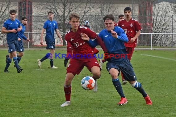 Bundeliga U17 TSG 1899 Hoffenheim vs Bayern München (© Siegfried Lörz)