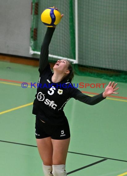 Volleyball Damen 3. Liga Süd SV Sinsheim  vs VSG Saarlouis (© Siegfried Lörz)