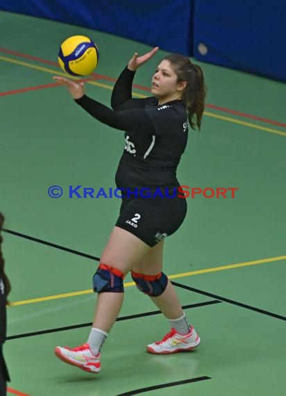 Volleyball Damen 3. Liga Süd SV Sinsheim  vs SC Bad Vilbel (© Siegfried Lörz)