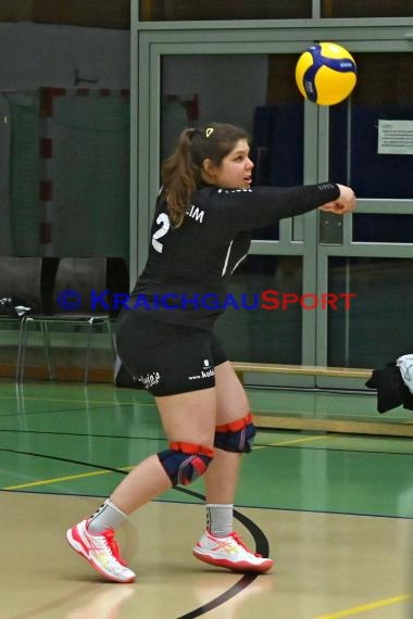 Volleyball Damen 3. Liga Süd SV Sinsheim  vs SC Bad Vilbel (© Siegfried Lörz)