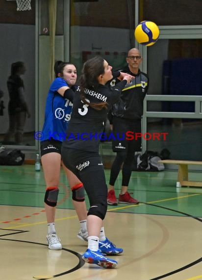 Volleyball Damen 3. Liga Süd SV Sinsheim  vs SC Bad Vilbel (© Siegfried Lörz)