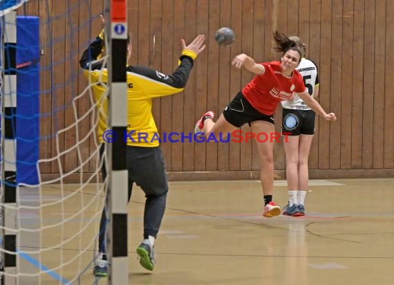 Heilbronn-Franken Handball Damen Bezirksliga TB Richen vs TSV Weinsberg (© Siegfried)