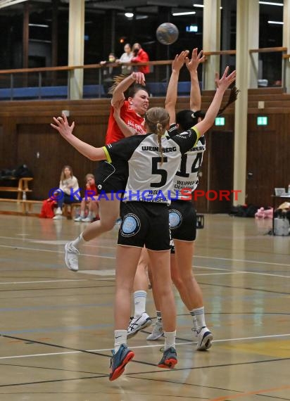 Heilbronn-Franken Handball Damen Bezirksliga TB Richen vs TSV Weinsberg (© Siegfried)