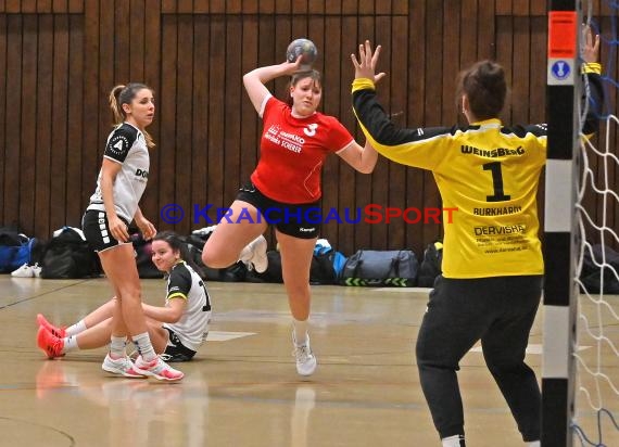 Heilbronn-Franken Handball Damen Bezirksliga TB Richen vs TSV Weinsberg (© Siegfried)